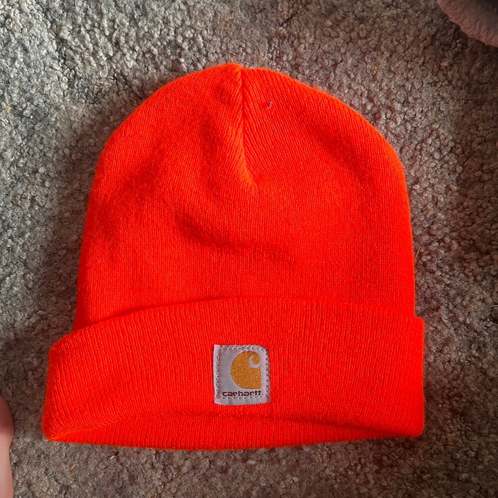 Carhartt beanie